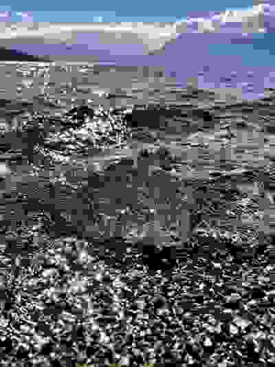 2021-04-06
