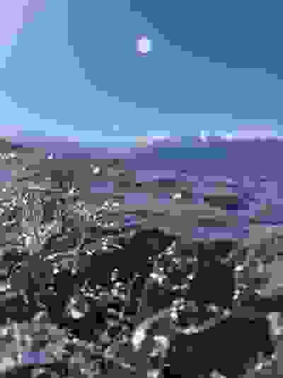 2022-04-10