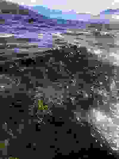 2021-01-19