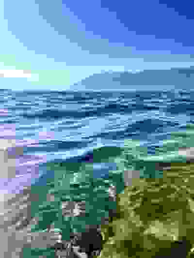 2022-08-01