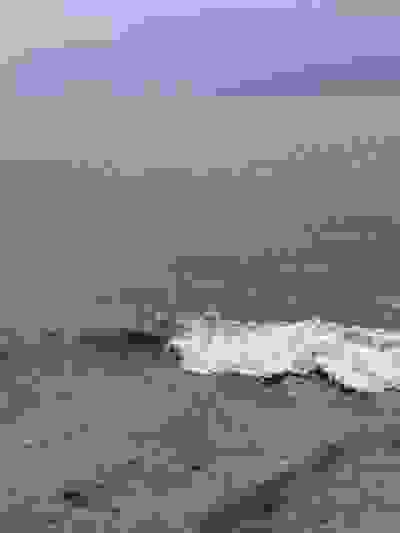 2025-03-29