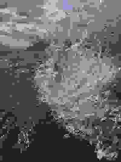 2025-06-08