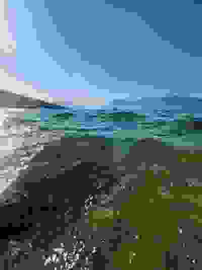 2022-08-04