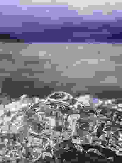 2025-07-24