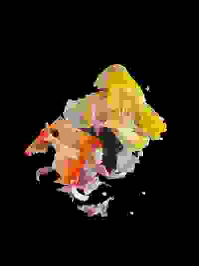 2025-06-22
