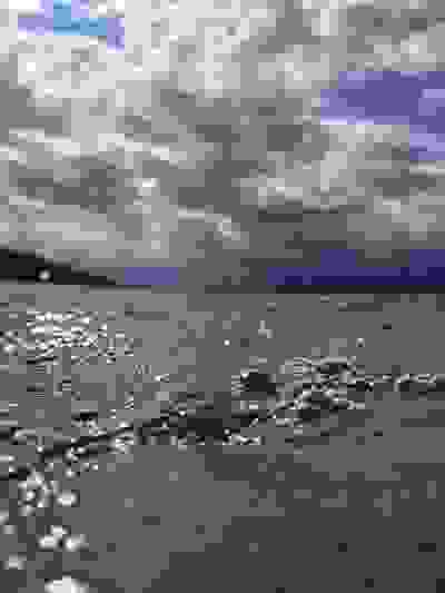 2025-08-02