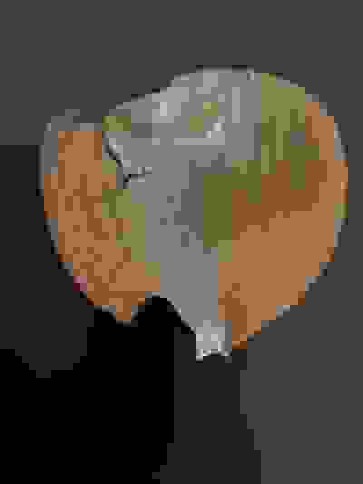 2024-12-21