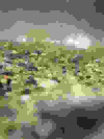 2020-04-11