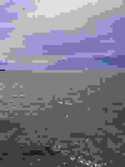 2025-04-12