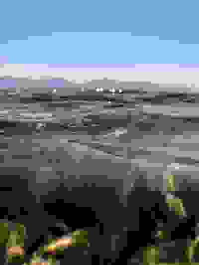 2020-04-15